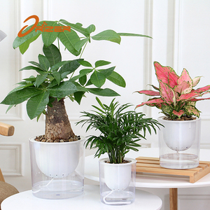 Venta caliente <span class=keywords><strong>Amazon</strong></span> <span class=keywords><strong>maceta</strong></span> ABS auto riego jardineras <span class=keywords><strong>maceta</strong></span> de plástico para planta de árbol - Product Image 2