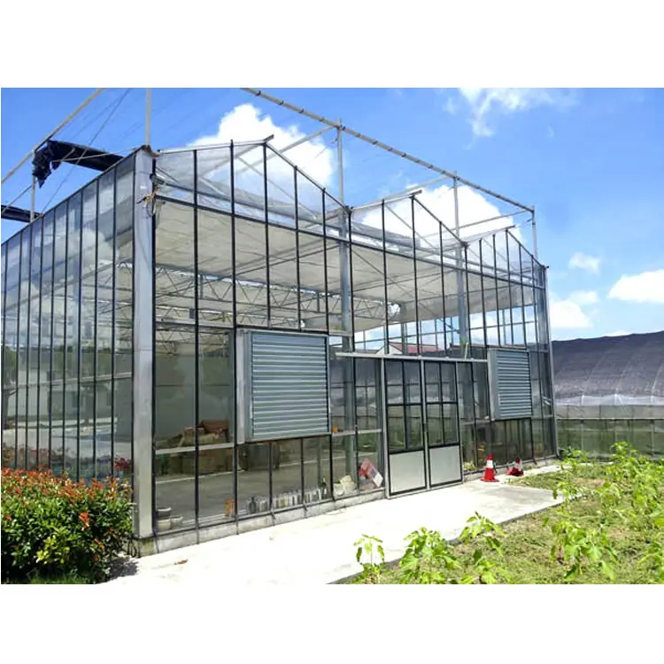 कृषि के लिए Skyplant पूर्वनिर्मित कांच ग्रीनहाउस