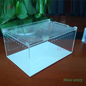 Maisons plastique pour animaux domestiques, Structure en acrylique, boîte d'élevage, petit boîtier transparent pour araignée, pour Reptile - Product Image 6