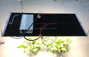 <span class=keywords><strong>Kingbrite</strong></span> 600 wát samsung lm301b lượng tử ban diy led gorw đèn kit - Product Image 4