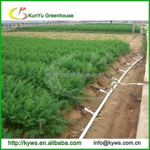 Cinta agrícola <span class=keywords><strong>Riego</strong></span> por goteo Cinta <span class=keywords><strong>de</strong></span> goteo agrícola <span class=keywords><strong>para</strong></span> <span class=keywords><strong>sistema</strong></span> <span class=keywords><strong>de</strong></span> <span class=keywords><strong>riego</strong></span> <span class=keywords><strong>de</strong></span> <span class=keywords><strong>invernadero</strong></span> - Product Image 5