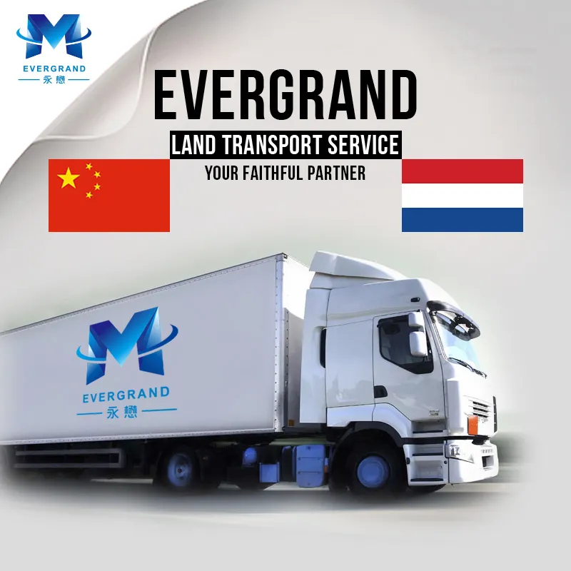 신뢰할 수있는 중국 배송 회사/배송 에이전트 네덜란드/네덜란드