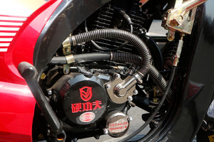 New Kind Customized <strong>Gas</strong> <strong>Powerd</strong> Three Wheel Motorcycle/cargo Tricycle for Adult