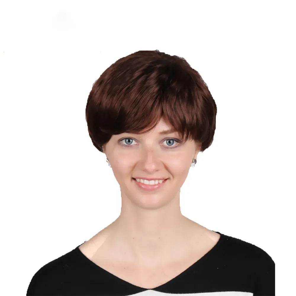 online synthetic woman's short wig brown women fashion hair wigs