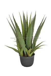 Barato artificial plantas de ornamentación vivir <span class=keywords><strong>del</strong></span> aire interior árboles bonsai artificial planta de <span class=keywords><strong>agave</strong></span> - Product Image 5