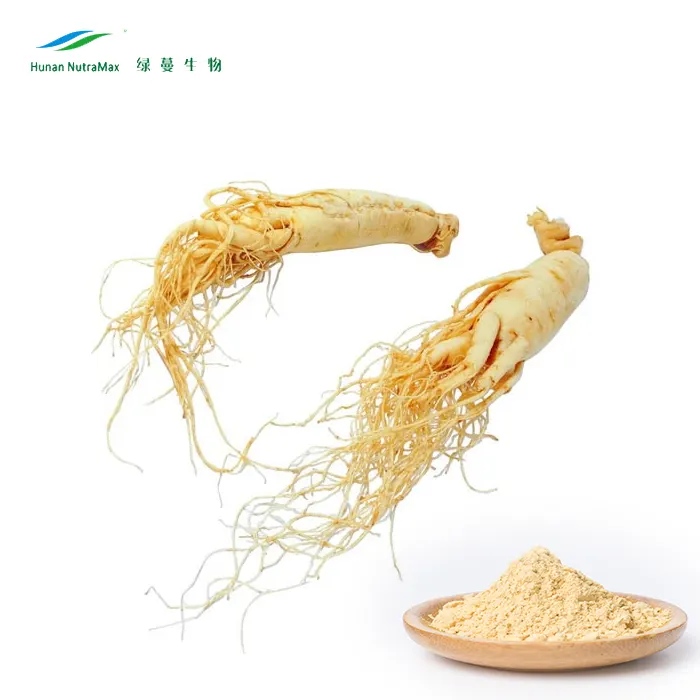 Natuurlijke Panax Ginseng Wortel Poeder Koreaanse Rode Ginseng Poeder Extract