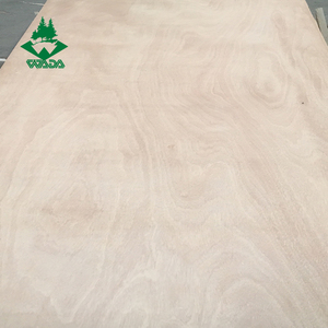 Madera Contrachapada de Álamo de Primera Calidad WADA, <span class=keywords><strong>Precio</strong></span> al por Mayor 3/4, 18 mm, 1220x2440 mm, Estándares de Emisión de Formaldehído E2 para Hoteles - Product Image 3