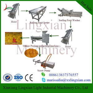 Tốt nhất Xoài Bột Giấy Máy Vắt Nước Trái Cây - Product Image 3