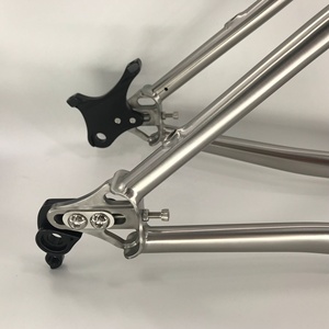 <span class=keywords><strong>Cuadro</strong></span> de Bicicleta de Montaña de <span class=keywords><strong>Titanio</strong></span> Super Hot Waltly <span class=keywords><strong>29</strong></span>+ para Neumáticos de 3.0 Pulgadas, 1.5 kg de Peso Ligero, para Uso en Arena y Nieve - Product Image 5