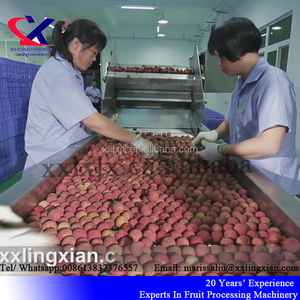 Gelişmiş Teknoloji Lychee Soyma Makinesi Litchi şarap Üretim Hattı Ekipmanları 1-<span class=keywords><strong>3</strong></span> t/h - Product Image 3