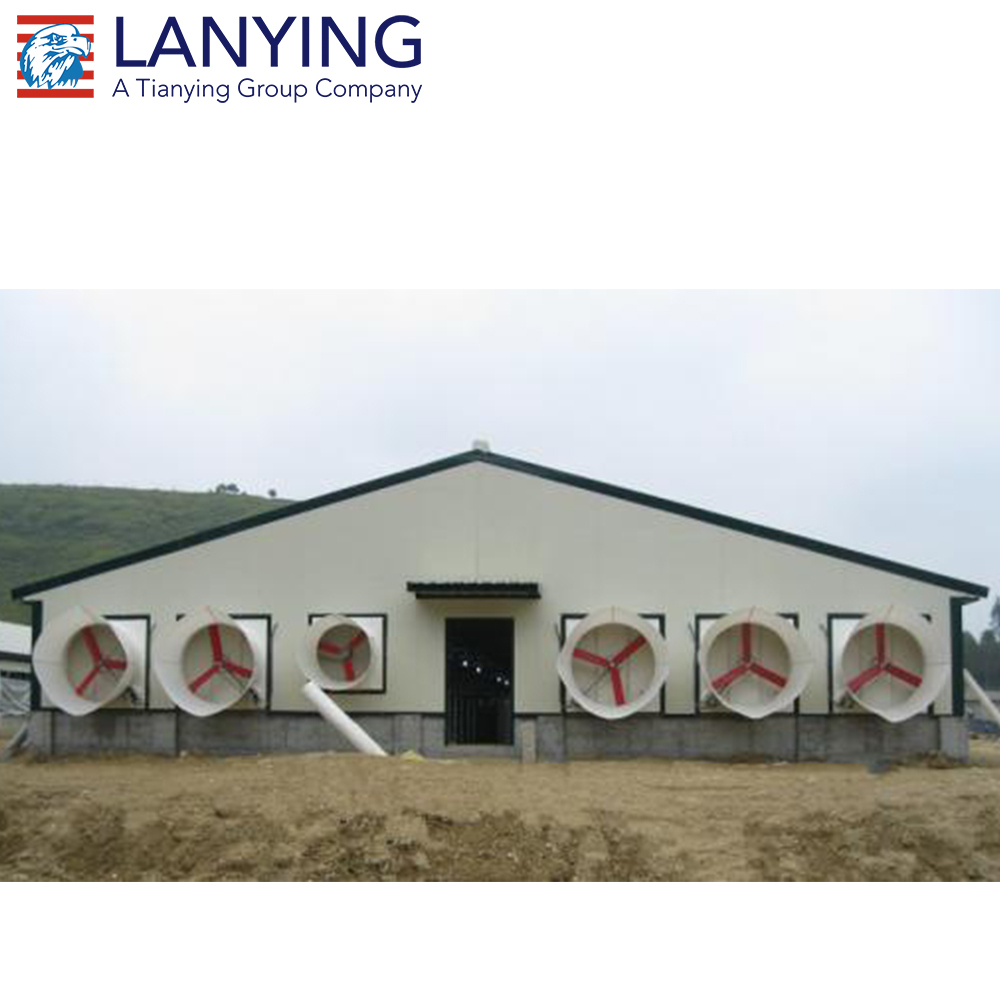 Conception Moderne De Poulet Ferme, poulets de chair Ferme Conception, pays L'élevage De Poulets