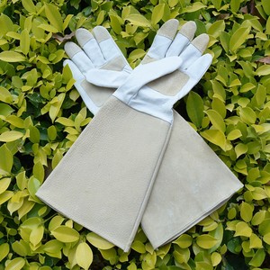 PRI Rose guantes de poda, guantes de jardinería a prueba de espinas, guantes largos de jardín para damas - Product Image 4