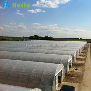 الدفيئة 30X60 أنابيب بولي المحلية الدفيئة الزراعية في كينيا - Product Image 3