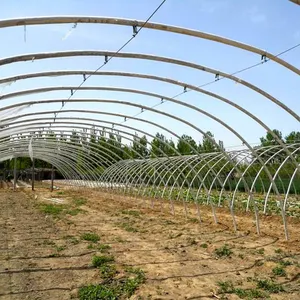 Serre en plastique renforcée de poulet Polytunnel Hangar de poulet en fibre de verre