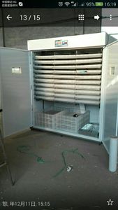 Bán Chạy Nhất Thiết Kế Mới Hoàn Toàn Tự Động Lồng Ấp Trứng Nở 6336 Trứng Để Bán - Product Image 6