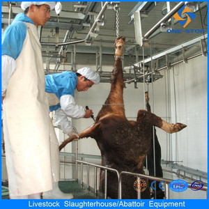 bovins de <span class=keywords><strong>boucherie</strong></span> équipements <span class=keywords><strong>abattoir</strong></span> - Product Image 6
