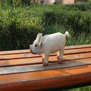 White Color small size guinea pig Pepa - Product Image 6