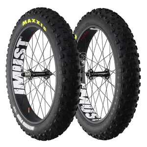 中国 fatbike 车轮 26er 碳脂自行车车轮 90毫米宽度与 Maxxis 轮胎 26 * 4.8毫米 3 年保修