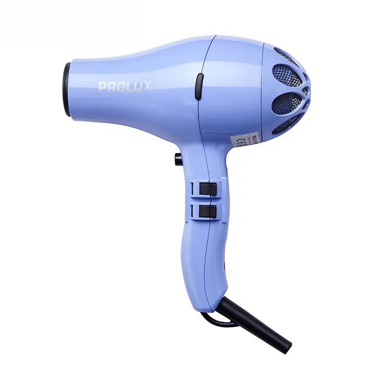 RONGGUI Import Export Beauty Salon Professional Ionic Hair Blow Dryer