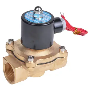 2W250-25 1 inch brass material normally closed 220v water solenoid valve