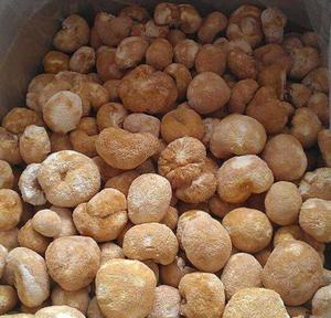 SETA de erizo seca para la barba, nuevo hongo para la salud - Product Image 5