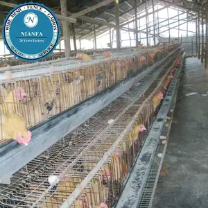 Malawi gabbie di pollo per la vendita/strato gabbie di quaglia per la vendita/pollo di allevamento gabbia (Fabbrica di Guangzhou)