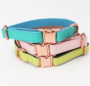 <span class=keywords><strong>Collar</strong></span> de Perro Grande de Piel Dorada - Product Image 2