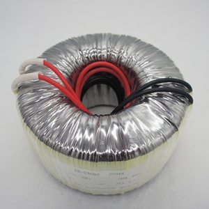 Tek fazlı Toroidal güç trafosu için ses amplifikatörleri 12v 18v 480v çıkış 110v 220v 240v giriş 50hz 60hz frekans - Product Image 4
