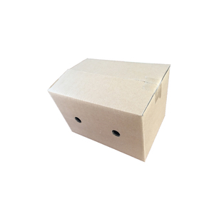 Caja de cartón corrugado para comida, alta calidad, para pollo, carne, camarón - Product Image 6