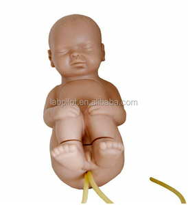 Model Pelatihan Pungsi Vertebral Tulang Belakang Pediatrik Manikin Perawatan Bayi - Product Image 2
