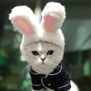 Best Selling Cheap Price Cotton <strong>Cat</strong> <strong>Hat</strong> Pet Costume Cosplay Lovely Cute Rabbit Ears Cosplay Wig <strong>Hat</strong> for Pet <strong>Cats</strong> Dogs - Product Image 2