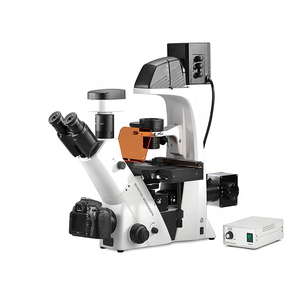 Médico/laboratorio/<span class=keywords><strong>hospital</strong></span> 400X Trinocular invertida de fluorescencia microscopio biológico - Product Image 2