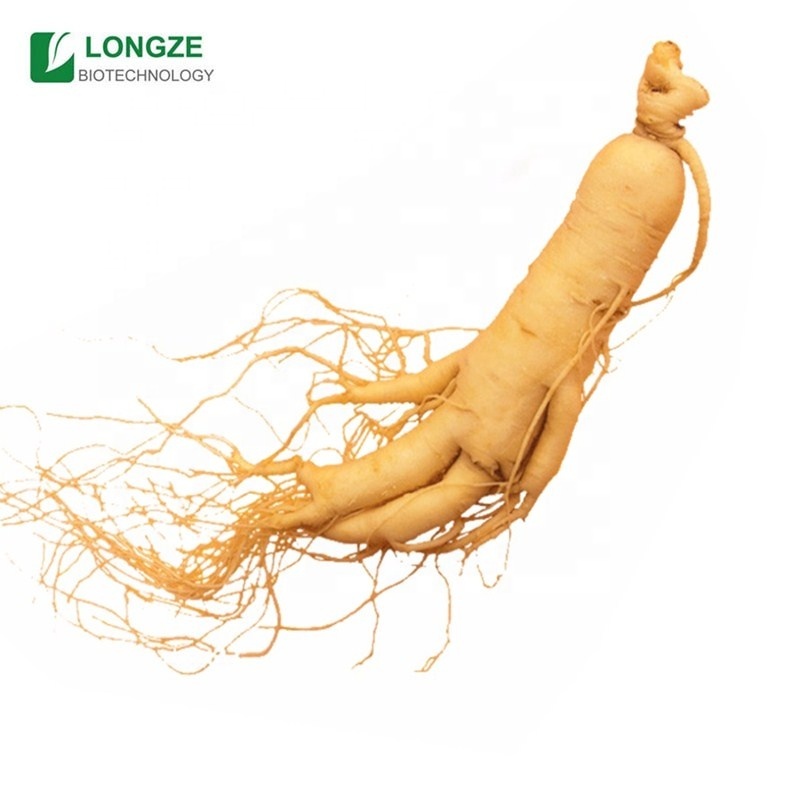 Экстракт корня женьшеня китайского Panax