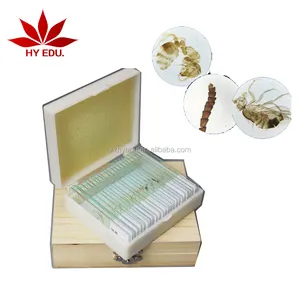 Hot-selling 25 kinds Insects whole mount slides Entomology series specimen microscope slides