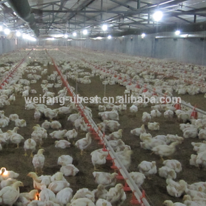 Home furnishing tunnel, vented volail/tunnel ventilation poultry shed - Product Image 3