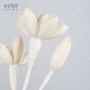 Bán Buôn Thiết Kế Mới Và Chất Lượng Cao Hương Hoa Reed Khuếch Tán - Product Image 6