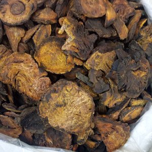 Qualidade Premium Raw Seco Rubarb Rizoma SELVAGEM Tipo Alto Conteúdo Ruibarbo Chinês Raízes - Product Image 3