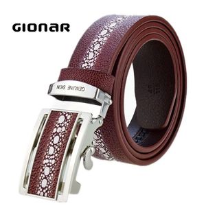 <span class=keywords><strong>Cinture</strong></span> in pelle da uomo cintura in pelle di mucca con motivo in pelle di razza di lusso senza fori cintura in pelle con fibbia automatica - Product Image 1