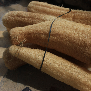 Spugna di Luffa 100% Naturale e Biodegradabile - Product Image 2