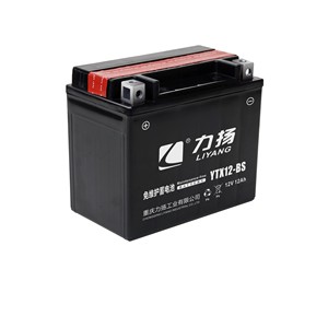 Keeway <span class=keywords><strong>Moto</strong></span> Pièces De Rechange <span class=keywords><strong>YTX12</strong></span>-<span class=keywords><strong>BS</strong></span> Alimentation le Stockage des Batteries AGM 150*87*130 Chargée Sèche 300PCS CN;CHO Noir DENEL <span class=keywords><strong>10ah</strong></span> - Product Image 6