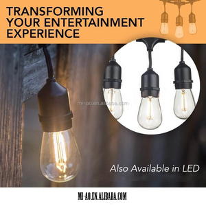 Vintage Led Garland with Bulb for <strong>Cafe</strong> <strong>Light</strong> <strong>String</strong> and Patio <strong>String</strong> <strong>Lights</strong> - Product Image 3