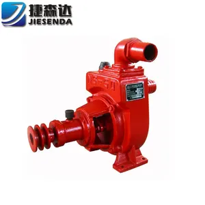 Vertical centrifugal pump NS 50 80 100 Water Pump