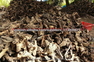 ไม้ลอยน้ำแท้จากประเทศไทย - Product Image 5