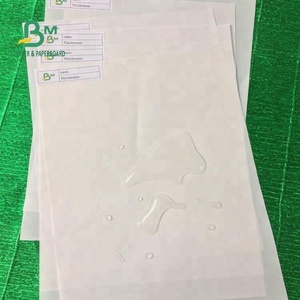 Papier spécial blanc double face <span class=keywords><strong>enduit</strong></span> <span class=keywords><strong>de</strong></span> kaolin, imperméable et indéchirable, 120 g/m² 216 g/m², pour impression offset et utilisation cartographique - Product Image 6