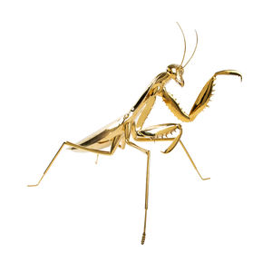 famous large gold plating mantis art home decoration metal