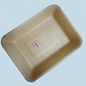 meat packaging PLA foam biodegradable disposable food container