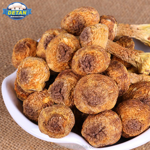 Detan secas <span class=keywords><strong>Agaricus</strong></span> blazei para compradores de setas - Product Image 1