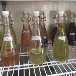 Botella de Vidrio Transparente Redonda con Tapa Abatible <span class=keywords><strong>Bormioli</strong></span> <span class=keywords><strong>Rocco</strong></span> Giara de 2 Litros con Tapón, para Bebidas, Smoothies, Kefir - Product Image 2