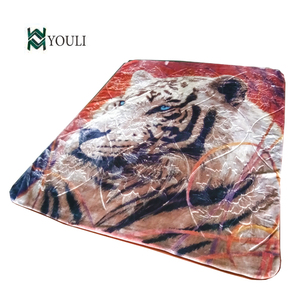 ผ้าห่มMinkหนา,เสือผ้าห่มโพลีเอสเตอร์100% - Product Image 4