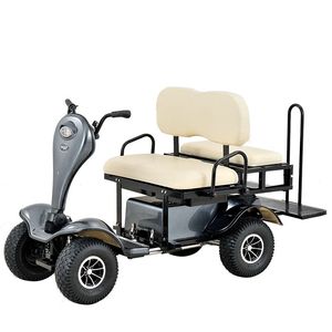 <span class=keywords><strong>Ce</strong></span>-Zertifikat 2-Sitzer Elektromobil für alte Menschen Allrad-Roller Abnehmbare Lithium batterie 60km Reichweite pro - Product Image 1